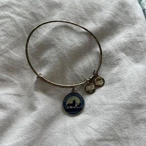Disney Alex and Ani